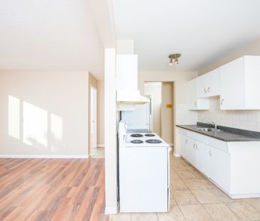 Alexander Apartments - Photo 2