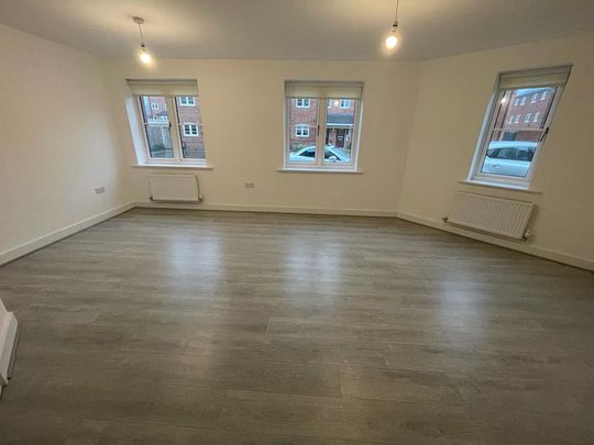 The Newton - Photo 1