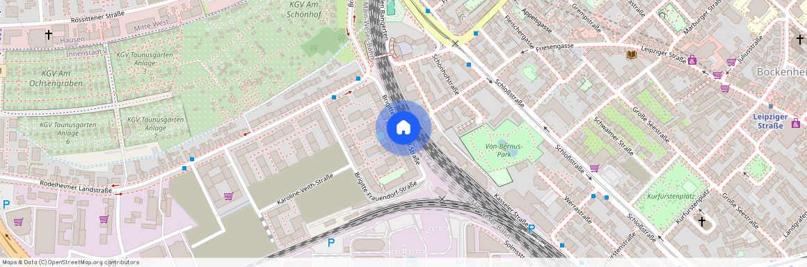 Brigitte-Frauendorf-Straße 2, 60486, Frankfurt Am Main