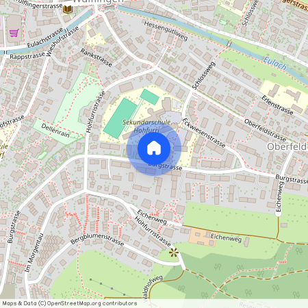 8408, Winterthur, Burgstrasse, 93