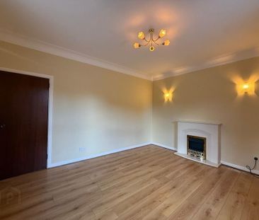 51 Main Street, Donaghcloney, BT66 7LR - Photo 6