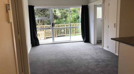 Sunny 2 bdr bottom flat close to Hataitai Village - Photo 3