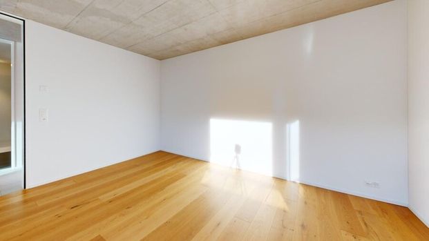 3.5-Zimmer Neubau-Erstbezug am Fusse des Uetlibergs - Foto 1