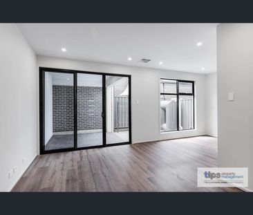 61B Devonport Terrace, Prospect, SA 5082 - Photo 6