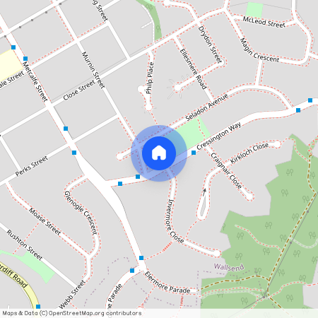 44 Cressington Way, NSW 2287, Wallsend