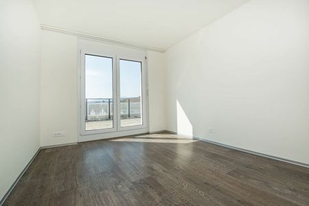 Traumhafte Attikawohnung mit grosser Terrasse - Photo 2