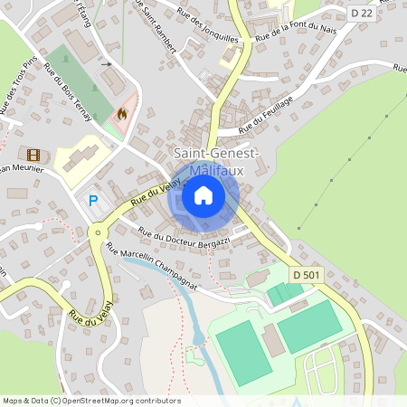 SAINT GENEST MALIFAUX, 42660