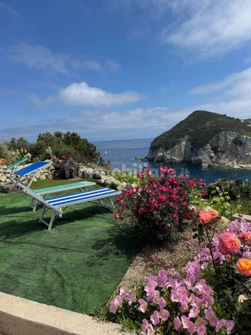 Monolocale via Piana, Le Forna, Ponza - Foto 5