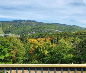 Logement à louer Mont-tremblant - Photo 2