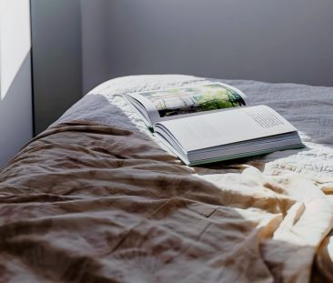 1 Bedroom Apartment - Photo 3