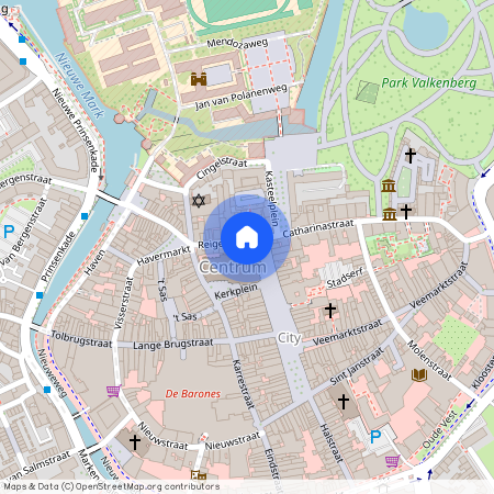 Reigerstraat 1 -app. 3, 4811 XA Breda