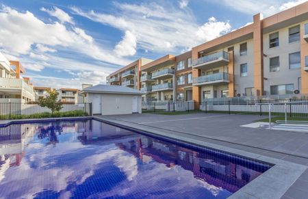 149/2 Windjana Street, Harrison - Photo 4