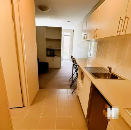 175 Avoca St, Sydney - Photo 3