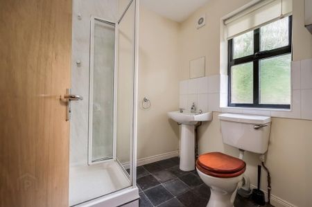 Apt 2, Tate Courtyard, 23atates Avenue, Belfast, BT9 7BY - Photo 5