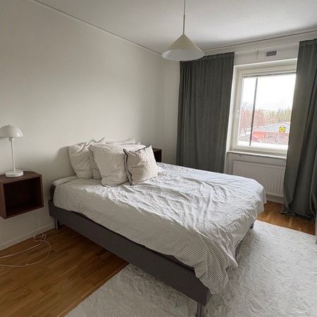 Ekonomstråket, Umeå - Foto 4