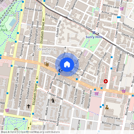 87 Goodlet Street, Surry Hills