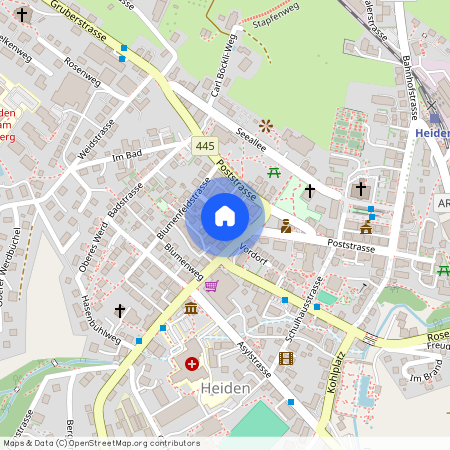 9410, Heiden, Blumenaustrasse, 1