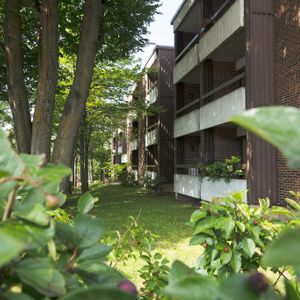 3 1/2 Ste-Foy - Tout inclus - près du cégep Garneau - 1er janvier - 1er ou 3e étage (ascenseur) - Photo 2