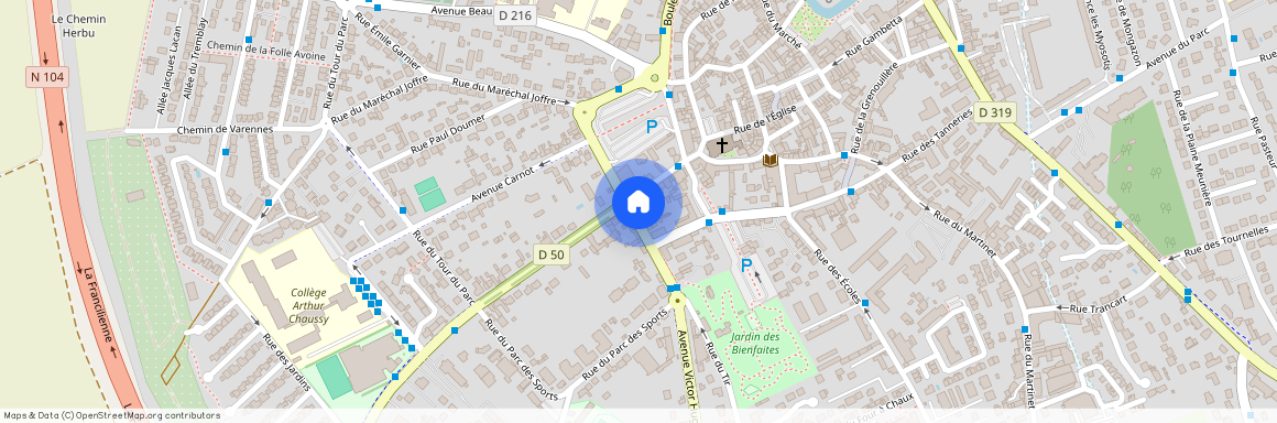 BRIE COMTE ROBERT (77170)