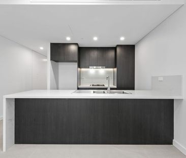 Near New Luxury Apartment In The Vibrant Clemton Park Village! - Photo 1