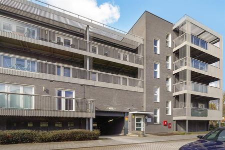 Apartment To Let - Photo 2
