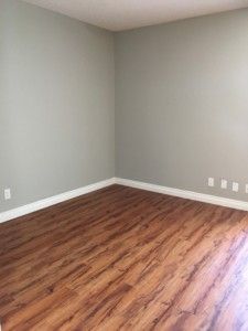 Mono Court – Bachelor - Photo 3