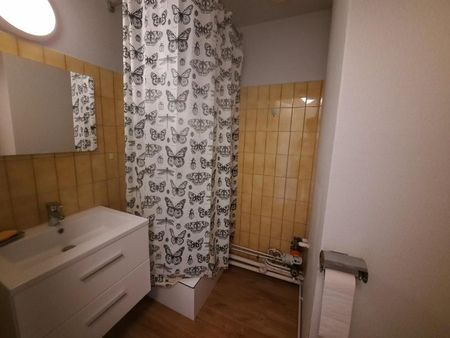 Location Appartement 1 pièce 19m² TOULOUSE 31000 - Photo 5