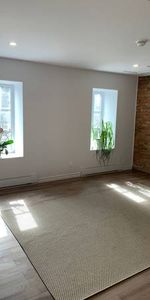 New bright spacious 4 1/2 near Downtown CHUM - Photo 4