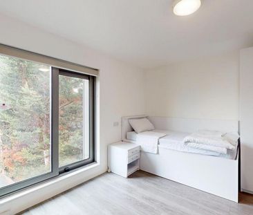 Studio to rent - Photo 5