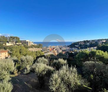 Location Appartement 4 pièces 75m² ROQUEBRUNE CAP MARTIN 06190 - Photo 4