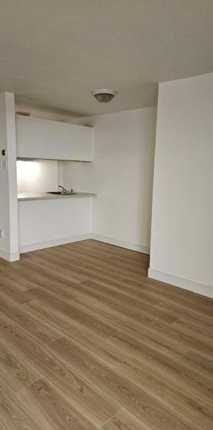 Studio - Montréal - $1,145 /mo - Photo 1