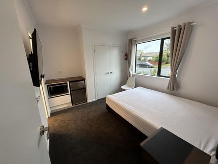 Hot on Hibiscus - Photo 5