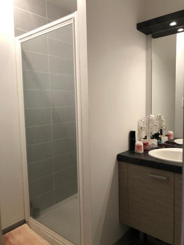 Location Appartement 2 pièces 47m² ST JUERY 81160 - Photo 5