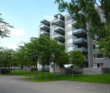 Wunderschöne Wohnung im Zentrum von Dübendorf - Photo 4