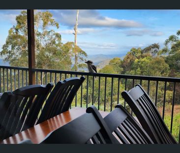 Dual Living in Tamborine Mountain - Photo 3