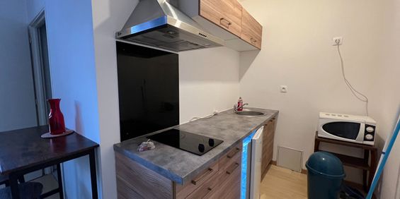 Location Appartement 1 pièce 21m² - Photo 3