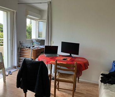 Location Appartement 1 pièce 28m² - Photo 3