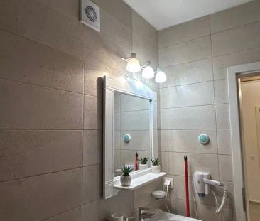 Special apartament, Avantgarden, Bartolomeu, Brasov - Fotografie 5
