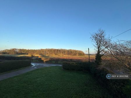 3 bedroom detached house to rent - Photo 5