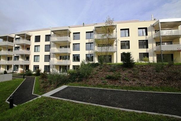 Wohntraum für Familie - Foto 1