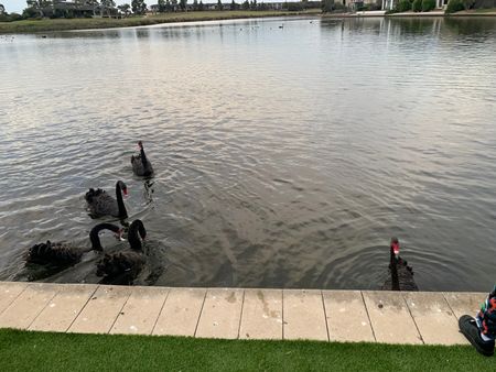 Point Cook - Photo 5