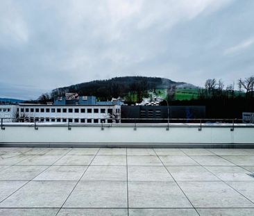 Exklusive, moderne 3.5-Zimmer-Attikawohnung mit grosser Terrasse & ... - Photo 5