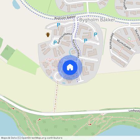 Rantzausbakke 82, 1. 5, 8700, Horsens