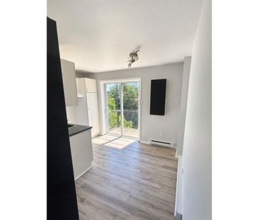 Appartement à louer - Montréal (Rosemont/La Petite-Patrie) (Vieux-R... - Photo 3