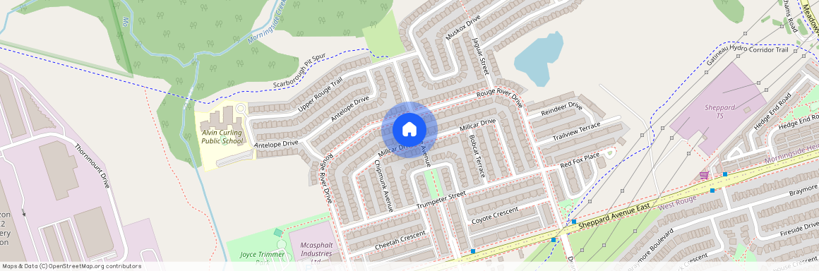 64 Millcar Drive #Bsmt, Toronto, Rouge E11