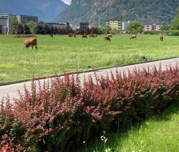 Pratico 3.5 locali immerso nel verde - Foto 5