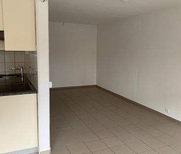 Appartement 2,5 pièces dans le quartier du Jura - Photo 1