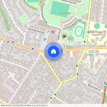 511 Mount Albert Road, Three Kings, Auckland City