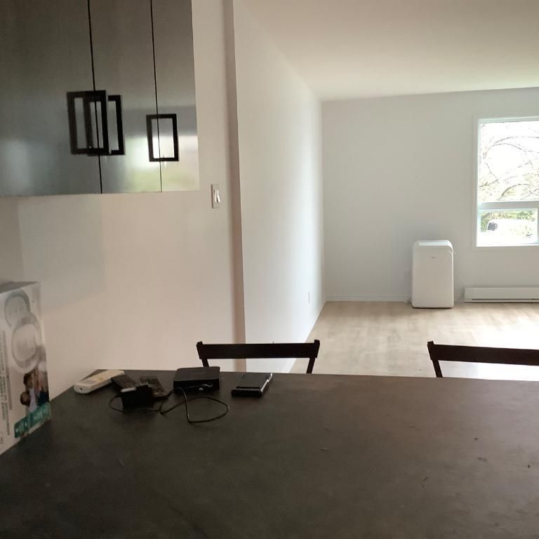 Condo 4 1/2 bord du fleuve rénove à louer ou vendre - Photo 1