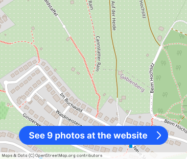 Gemütliche 3-Zi.-Etagenwohnung mit Süd-Balkon im 1.OG - Photo 1